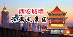 澳美处女操逼视中国陕西-西安城墙旅游风景区