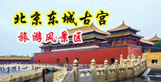 迷奸美女操中国北京-东城古宫旅游风景区